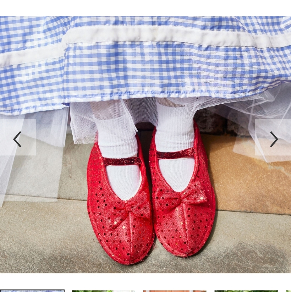 Wizard Of OZ Dorothy Kids Costume - Picture 4 of 10